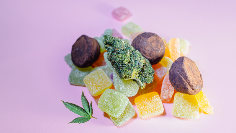 Decoding Cannabinoids: Smoking vs. Vaping CBD Flowers