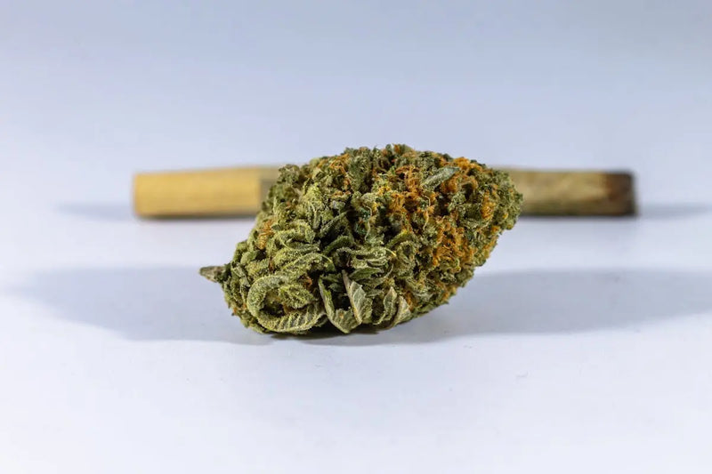 Best CBD Flowers: How They're Changing the Wellness Industry