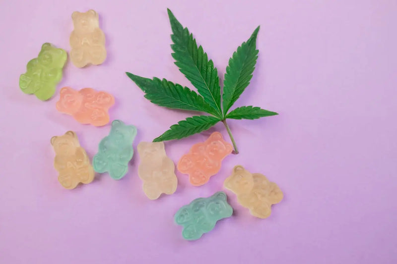 Choosing the Right CBD Products for Sleep: A Comprehensive Guide