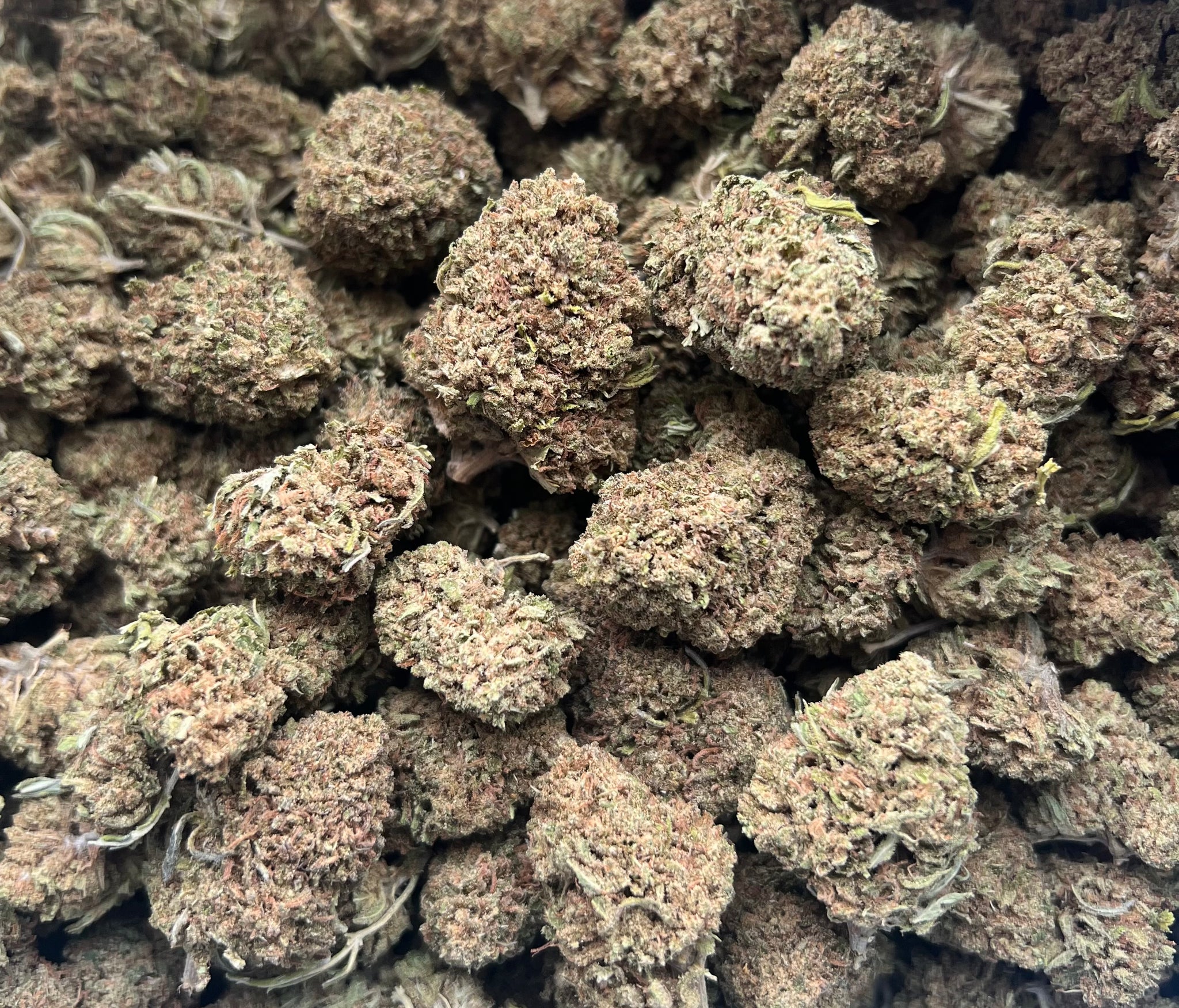 🇺🇸 Berry Runtz (18%)