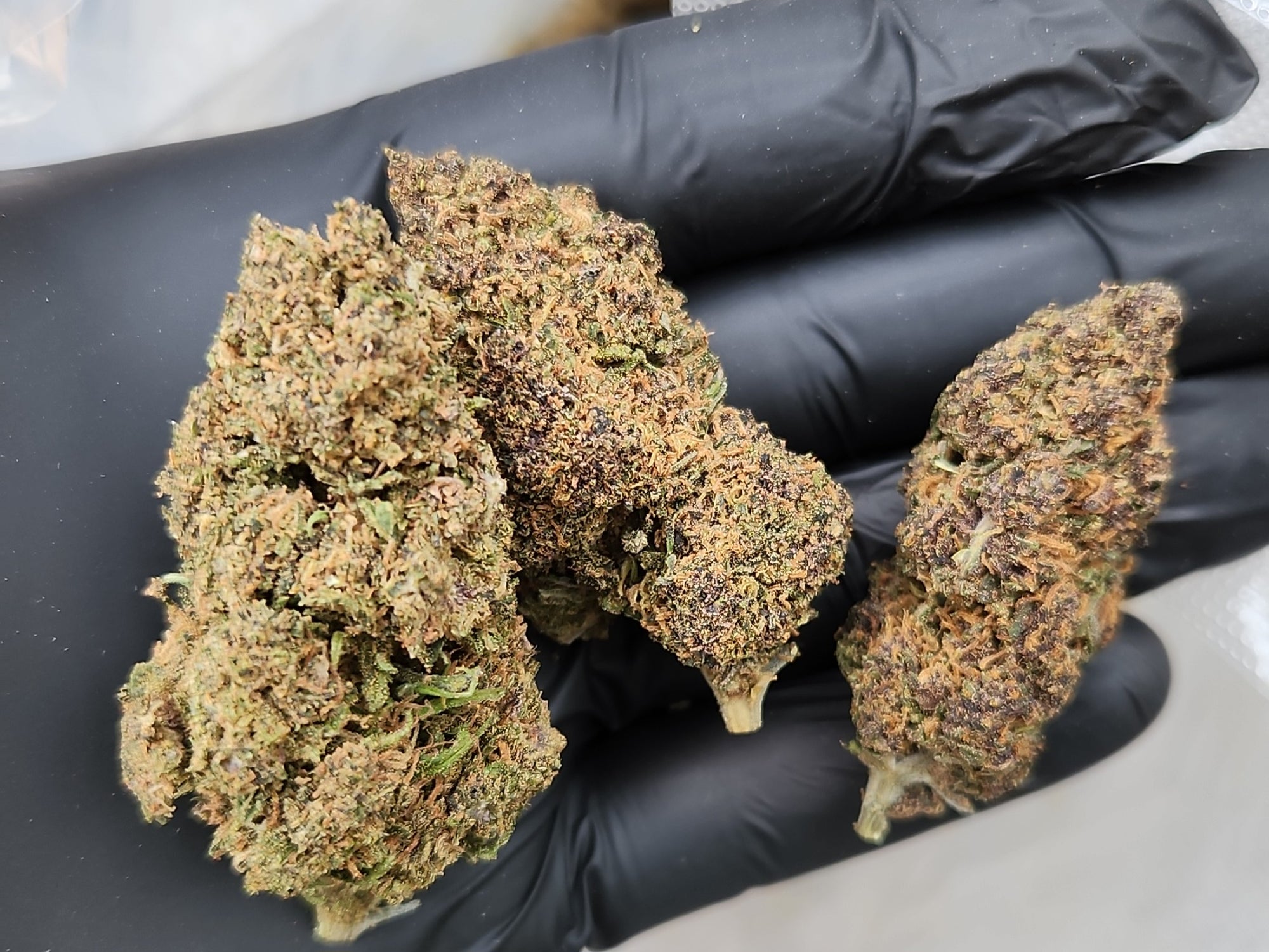 🇺🇸 Pink Runtz (15%)