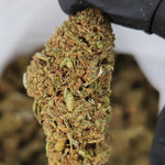 🇺🇸 Lifter (15%)