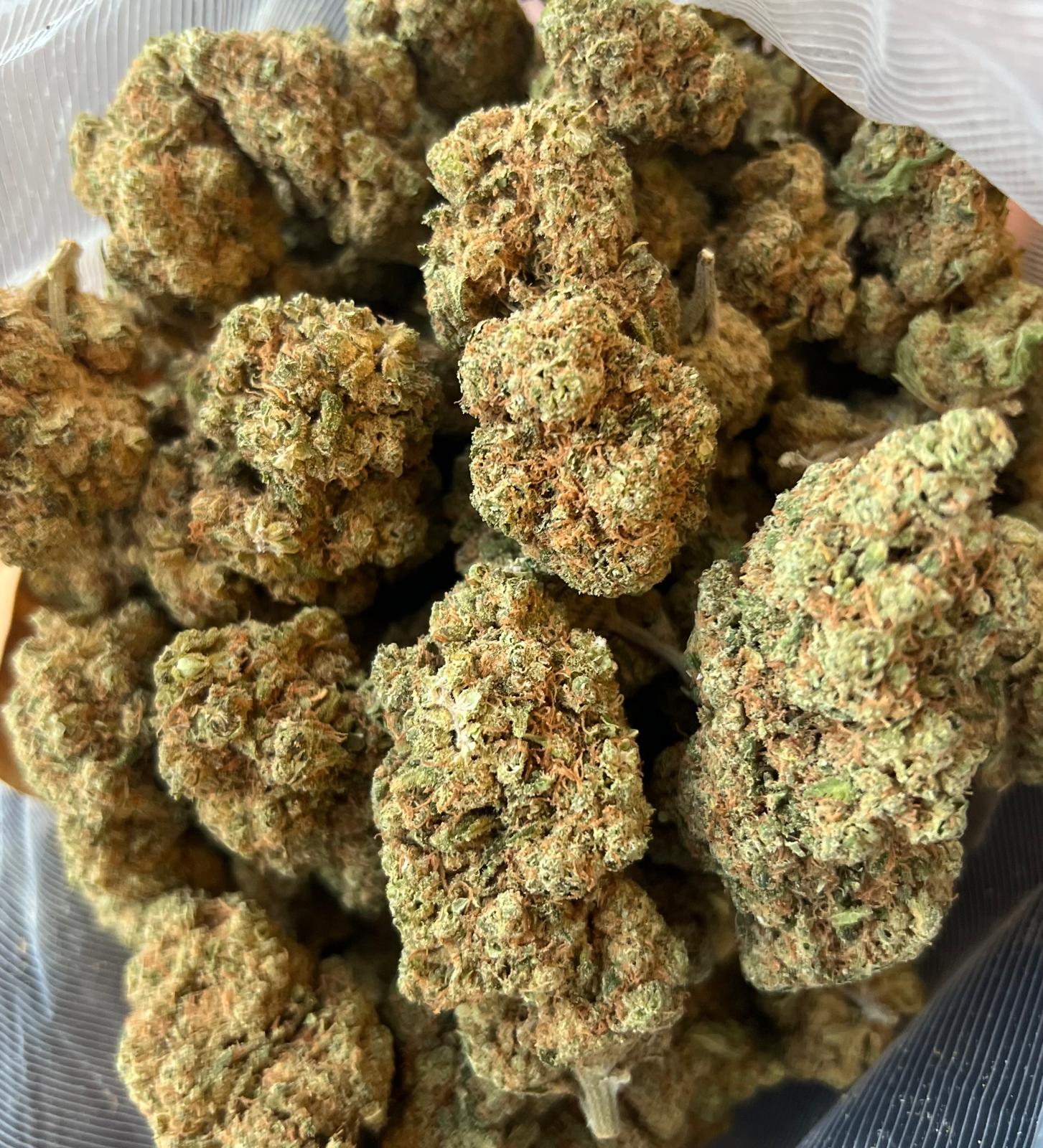OG X Haze (23%)