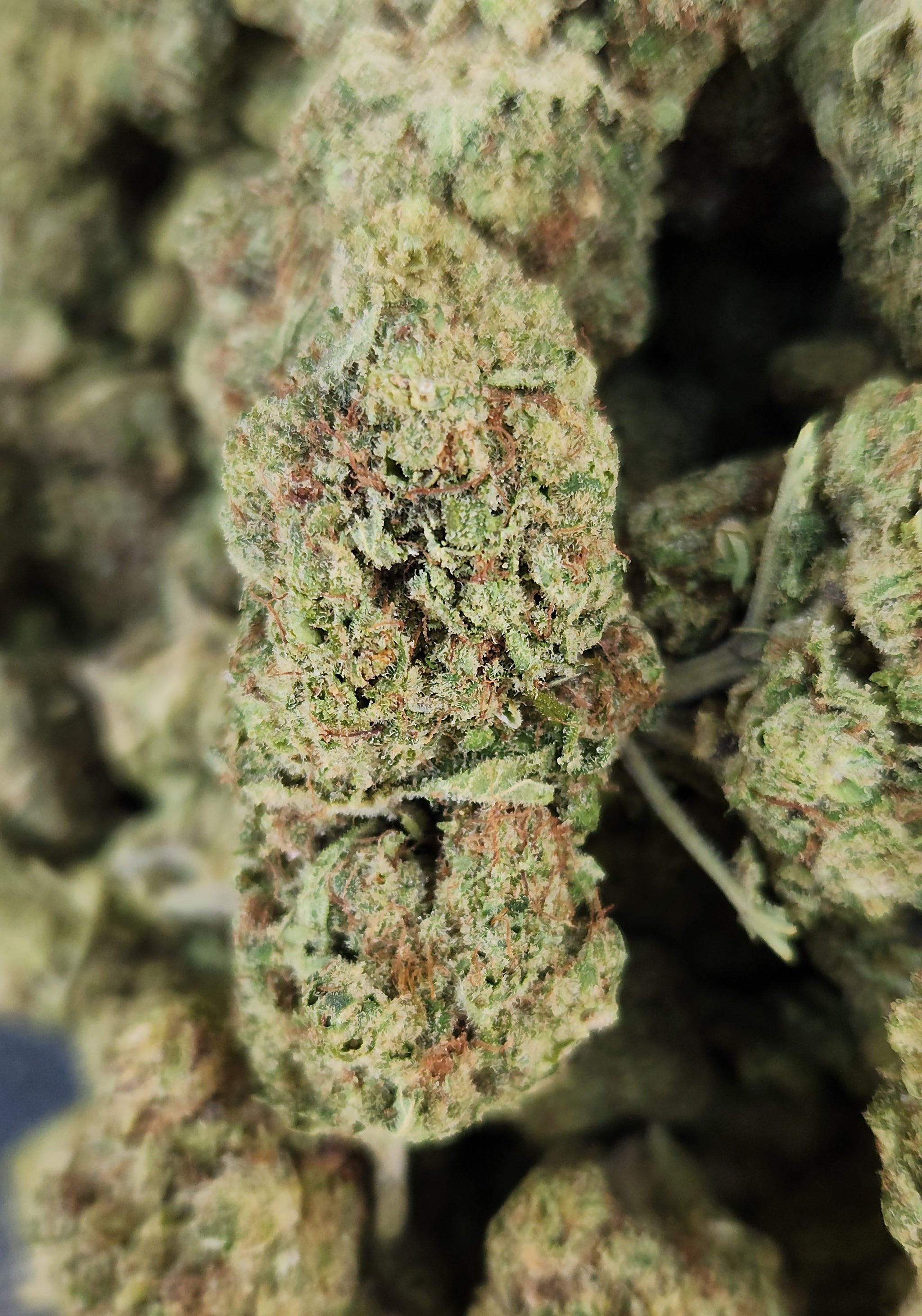 🇪🇺 Key Lime Pie (19%)