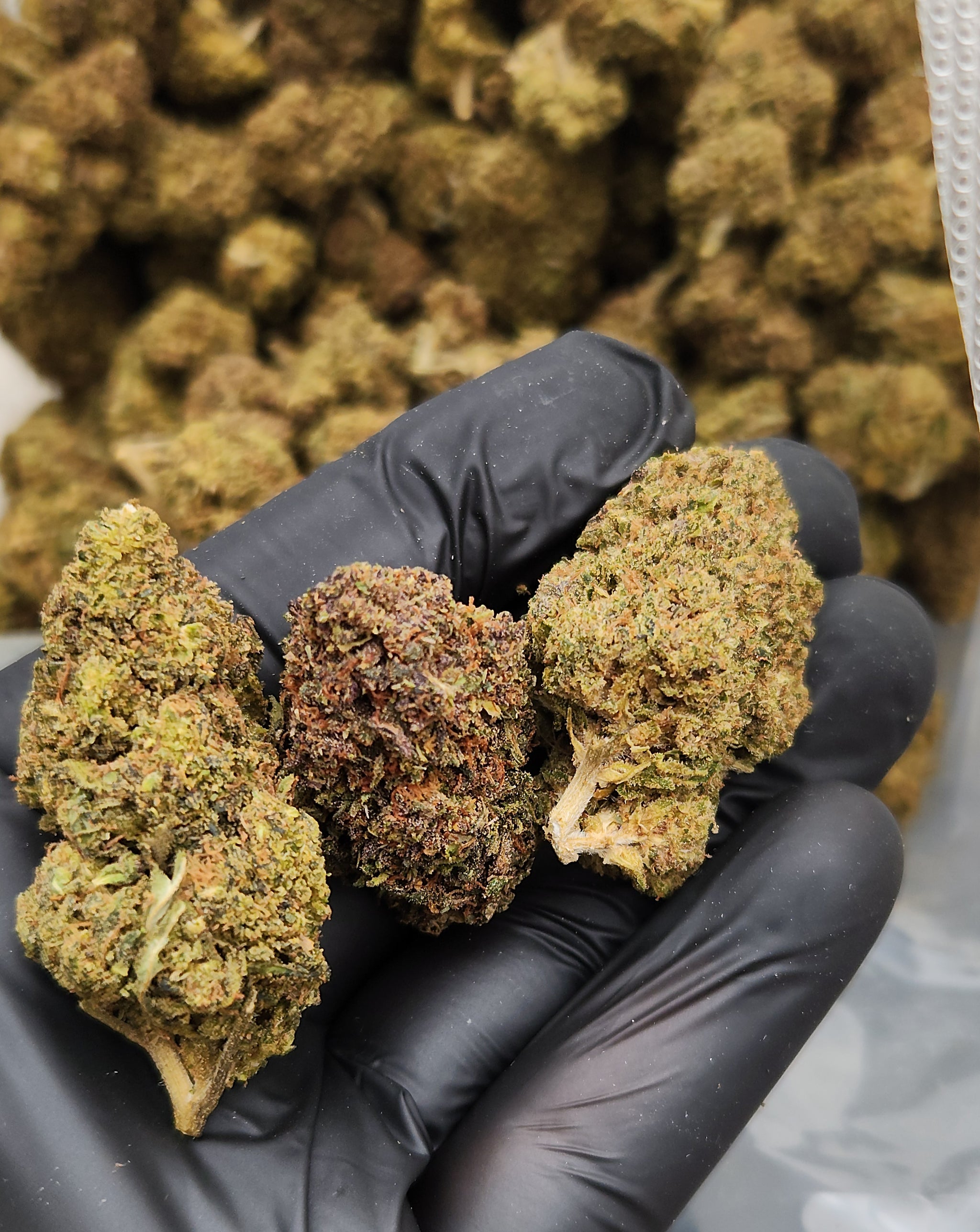 🇺🇸 Garlic Cookies (17%)