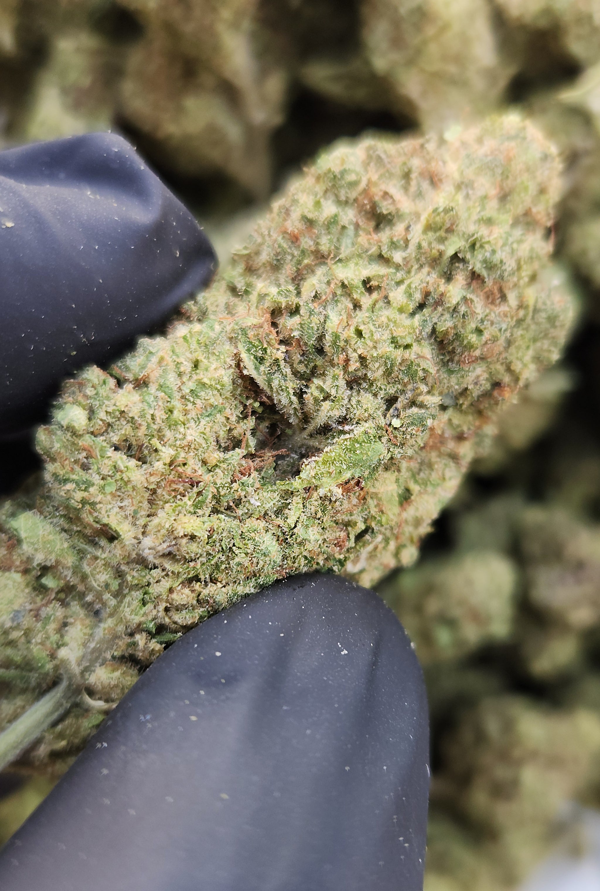 🇪🇺 Key Lime Pie (19%)