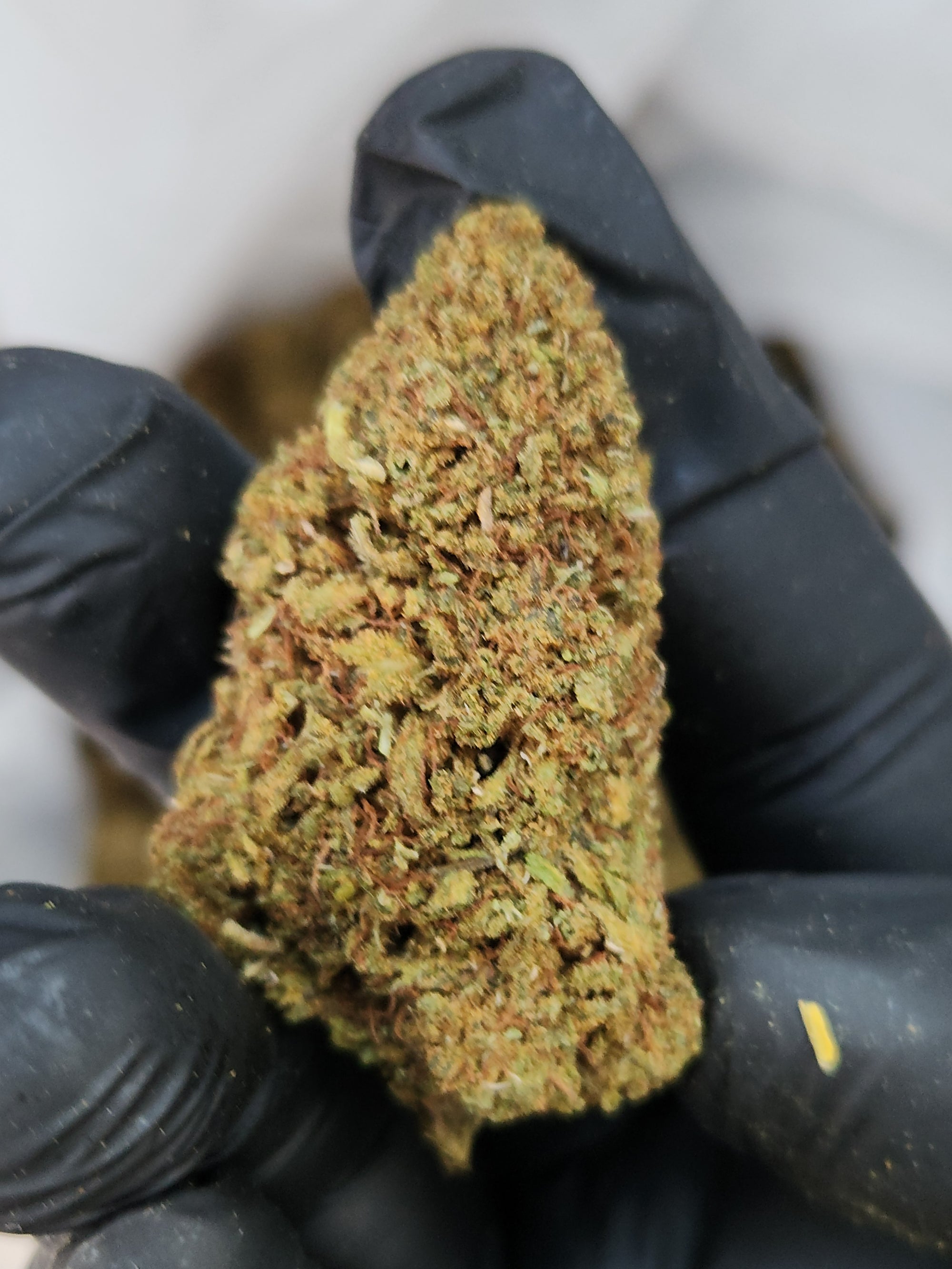 🇺🇸 Lifter (15%)