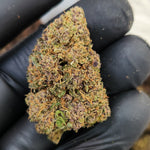 🇺🇸 Lemon Purps (18%)