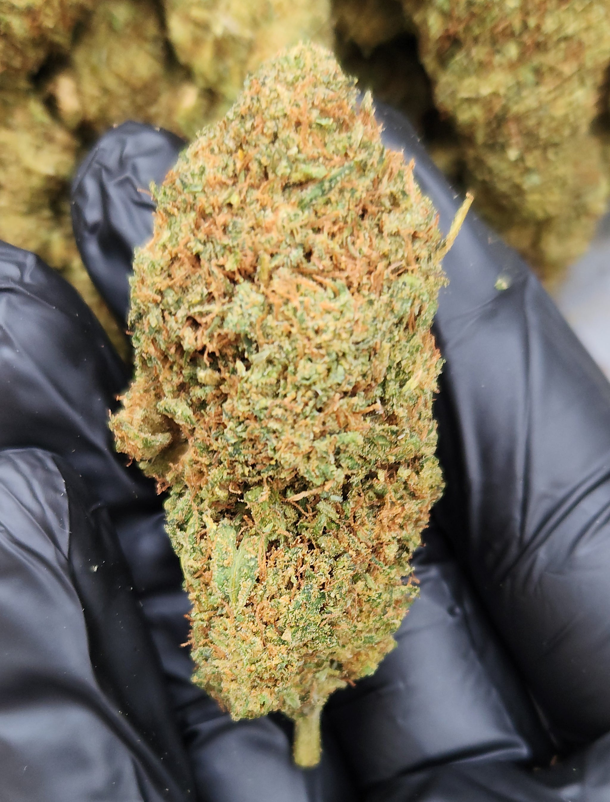 🇺🇸 Lemon Chiesel (25%)
