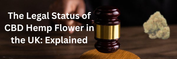 The Legal Status of CBD Hemp Flower in the UK: Explained