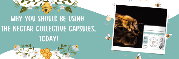 Why You Should Be Using The Nectar Collective Capsules, Today!