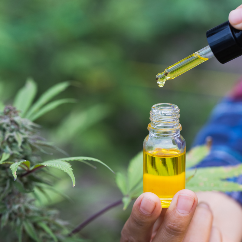 Understanding the Benefits of CBD Oil: A Comprehensive Guide