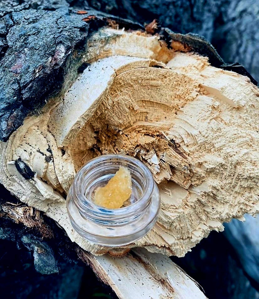 Discover the benefits and versatility of CBD concentrates in just a few clicks - read our blog now!