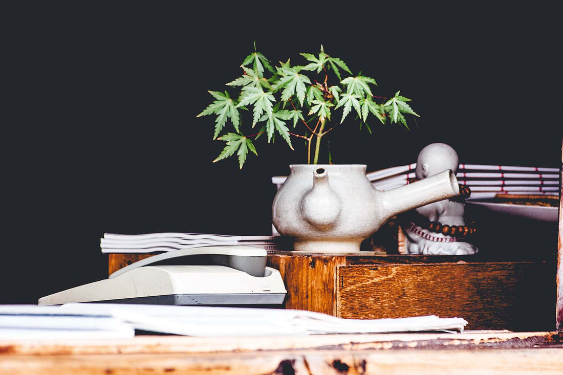 The Wellness Quest Unveiled: Exploring CBD's Hidden Secrets for Natural Harmony
