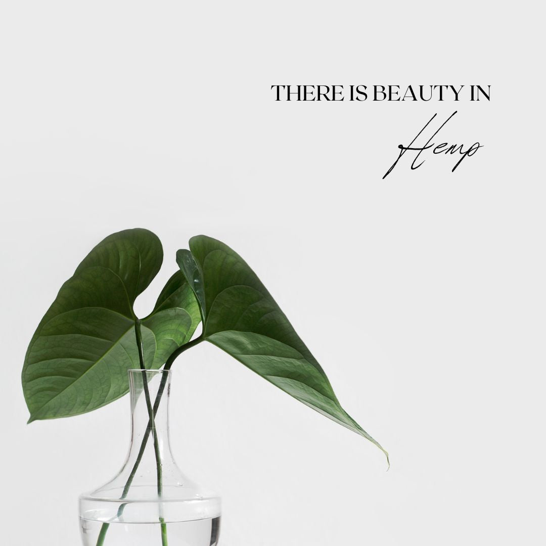 Get ready to elevate your life and experience the wonders of hemp products by reading my blog!