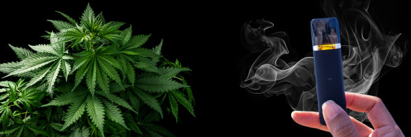 CBD Disposable Vape Pen's | Buy CBD Vape Pen UK Aunt Mary's Flowers CBD Disposable Vape Pen's | Buy CBD Vape Pen UK Aunt Mary's Flowers