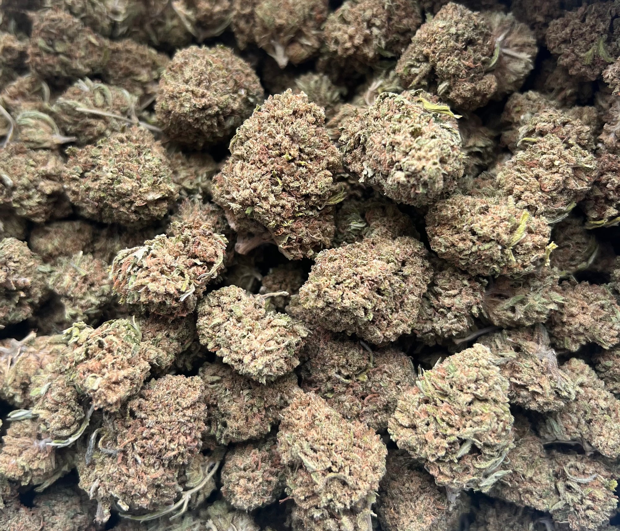 🇺🇸 Berry Runtz (18%)