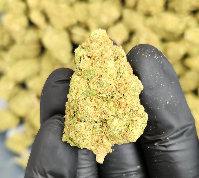 🇺🇸 Banana Kush (23%)