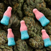 (Vegan) Bubblegum Bottle's | CBD Gummies | 800mg