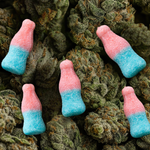 (Vegan) Bubblegum Bottle's | CBD Gummies | 800mg