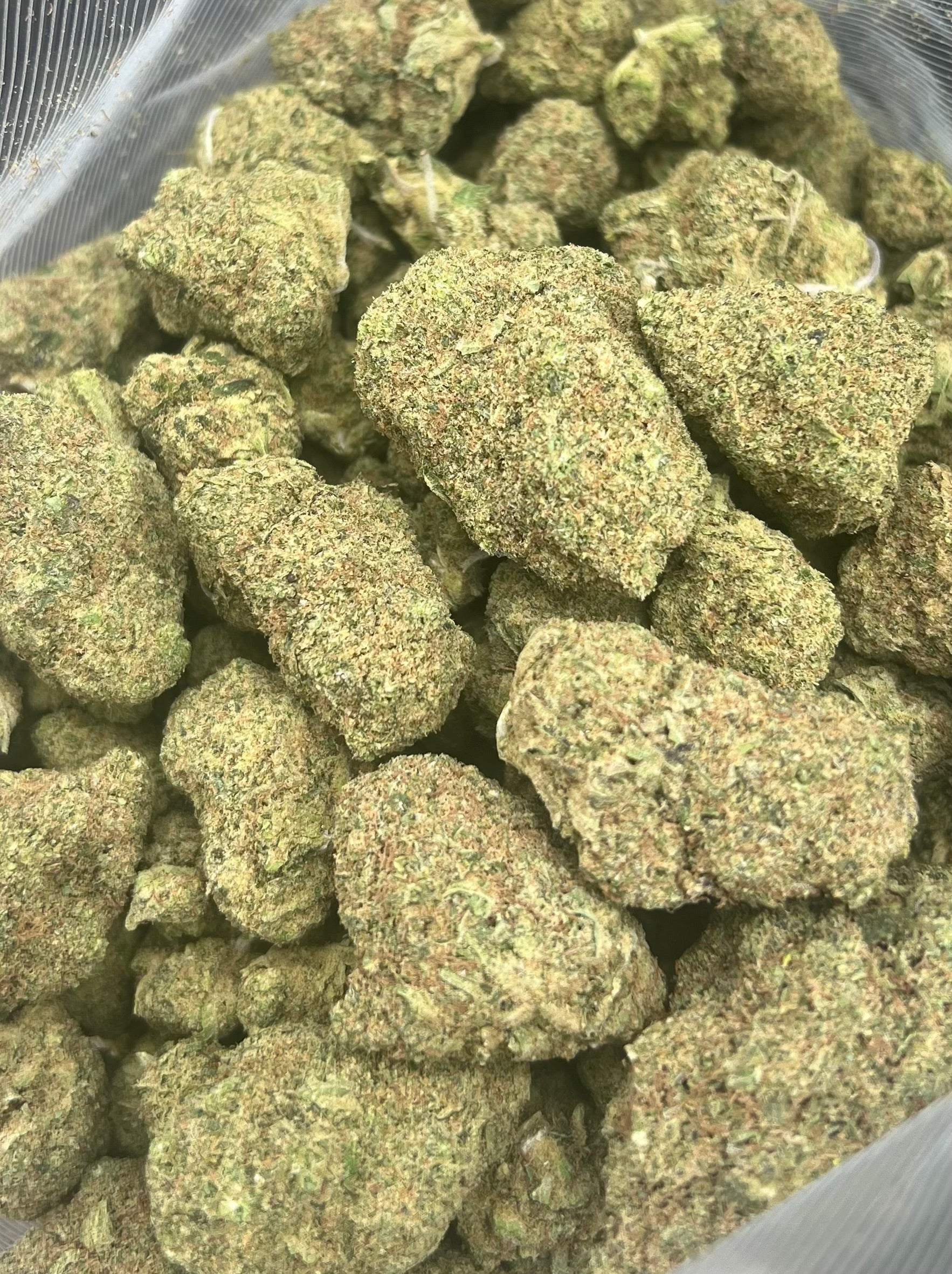 Northern Lights (24%)