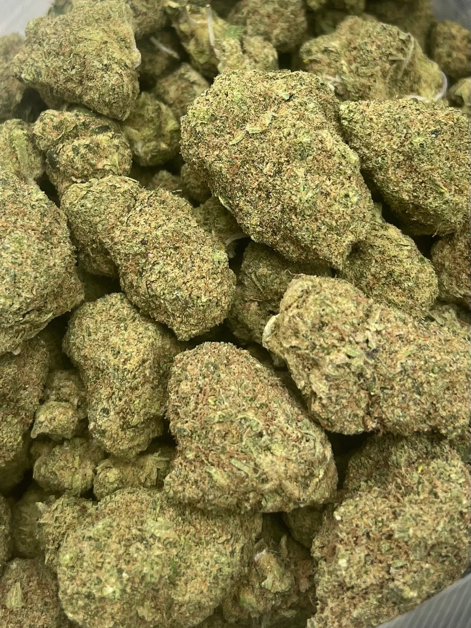 Northern Lights (24%)