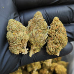 🇺🇸 Rainbow OG (19%)