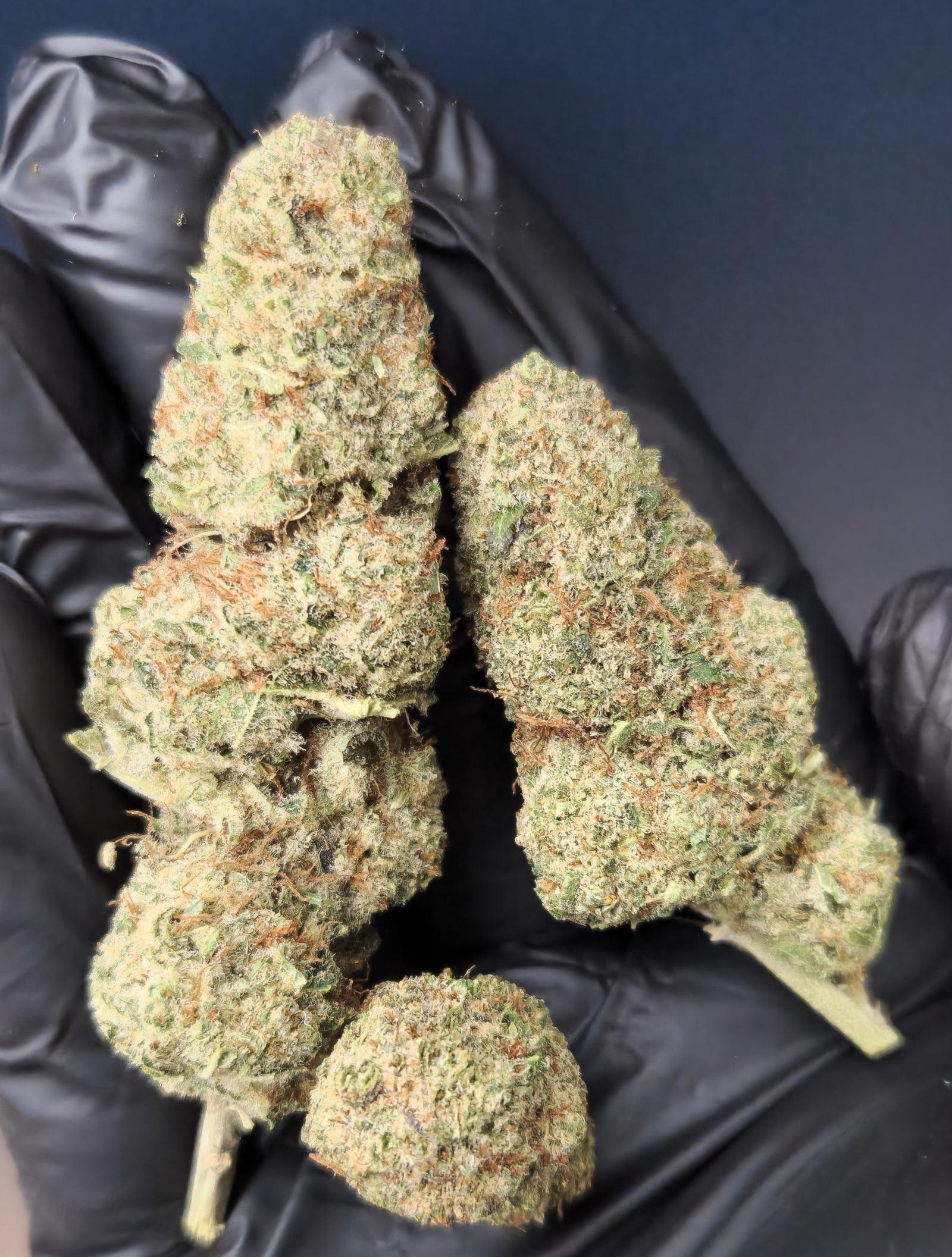 🇪🇺 Orange cookies (17%)