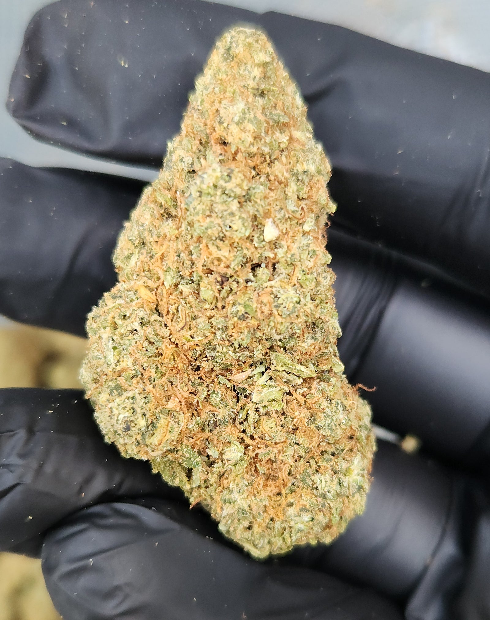 Cookie Runtz (22%)