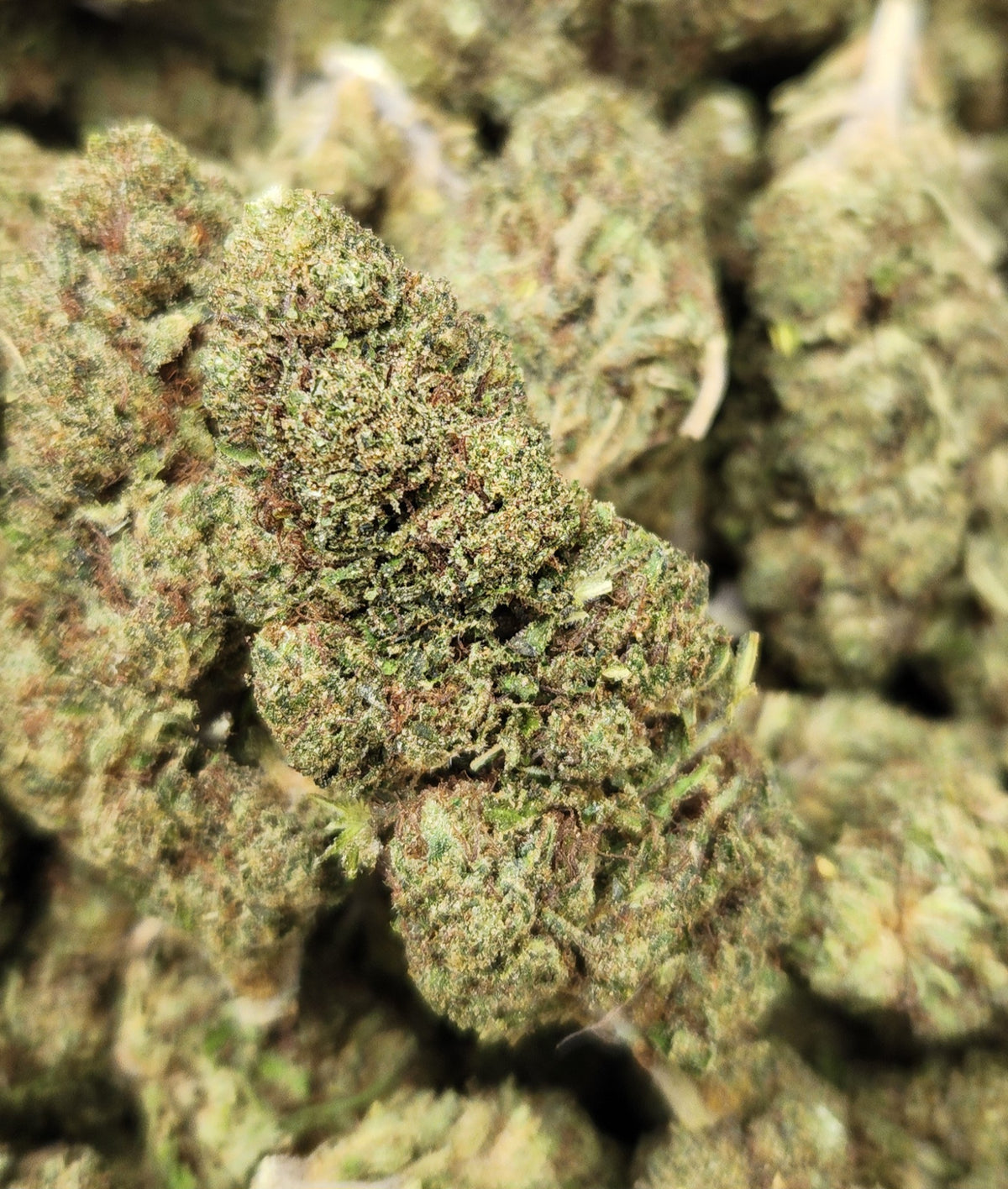 🇨🇴 Bubble Sherb (10%)