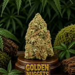🇪🇺 Golden Nuggets (16%)