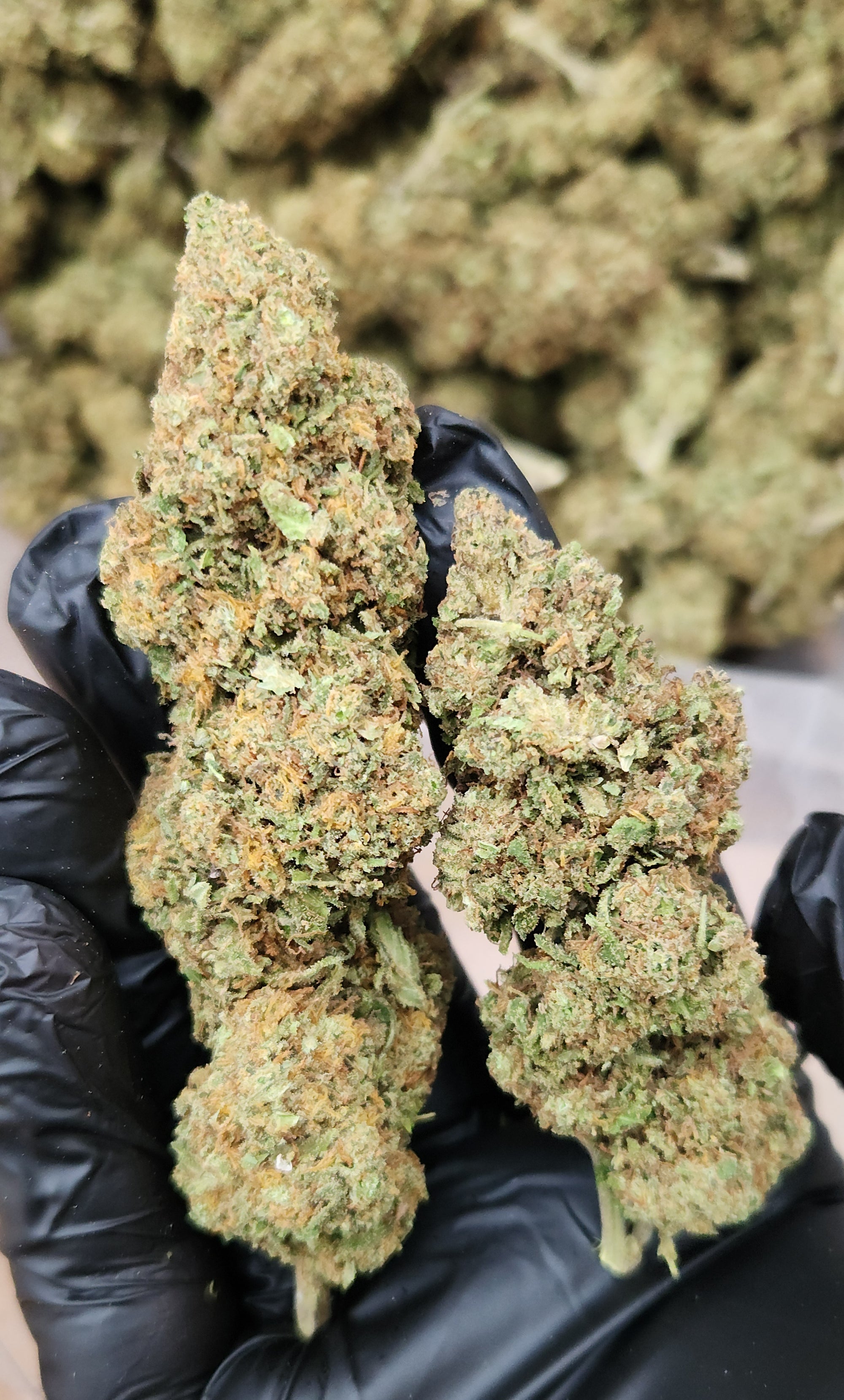 🇪🇺  Bubblegum 47 (18%)