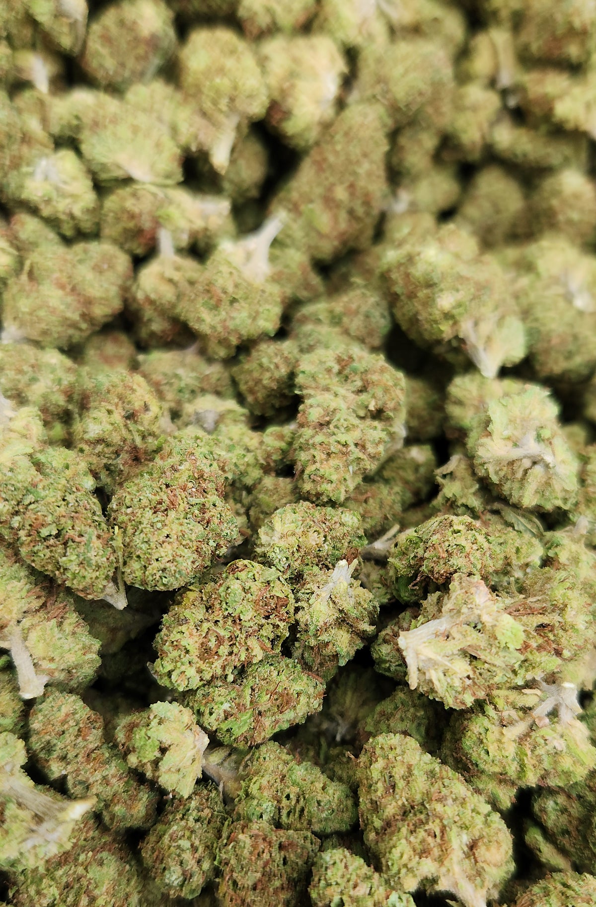 🇨🇴 Strawberry OG Smalls (12%)