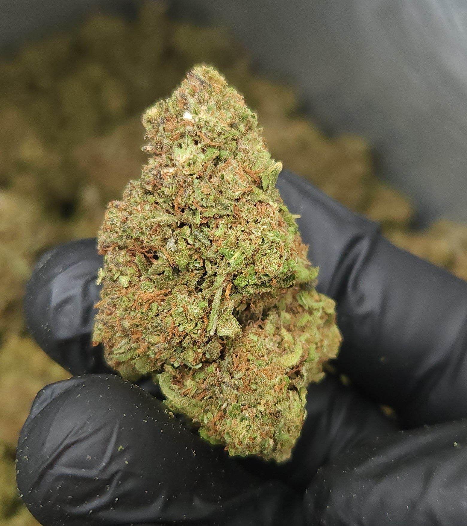 🇪🇺 Strawberry Diesel (15%)
