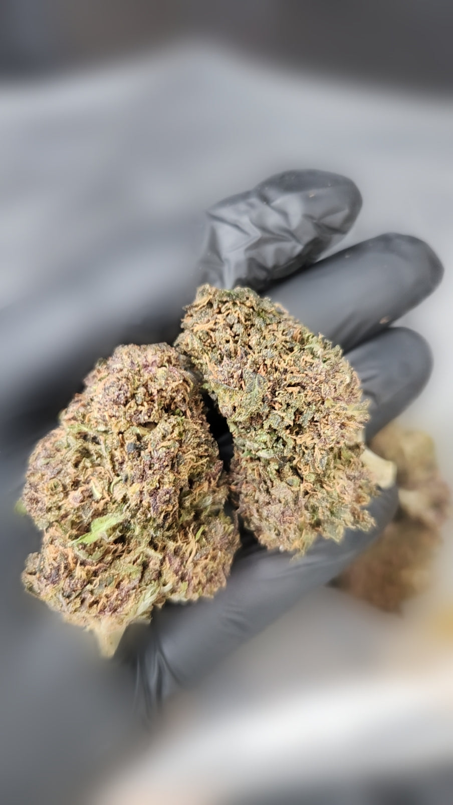 🇺🇸 Blueberry (12%)