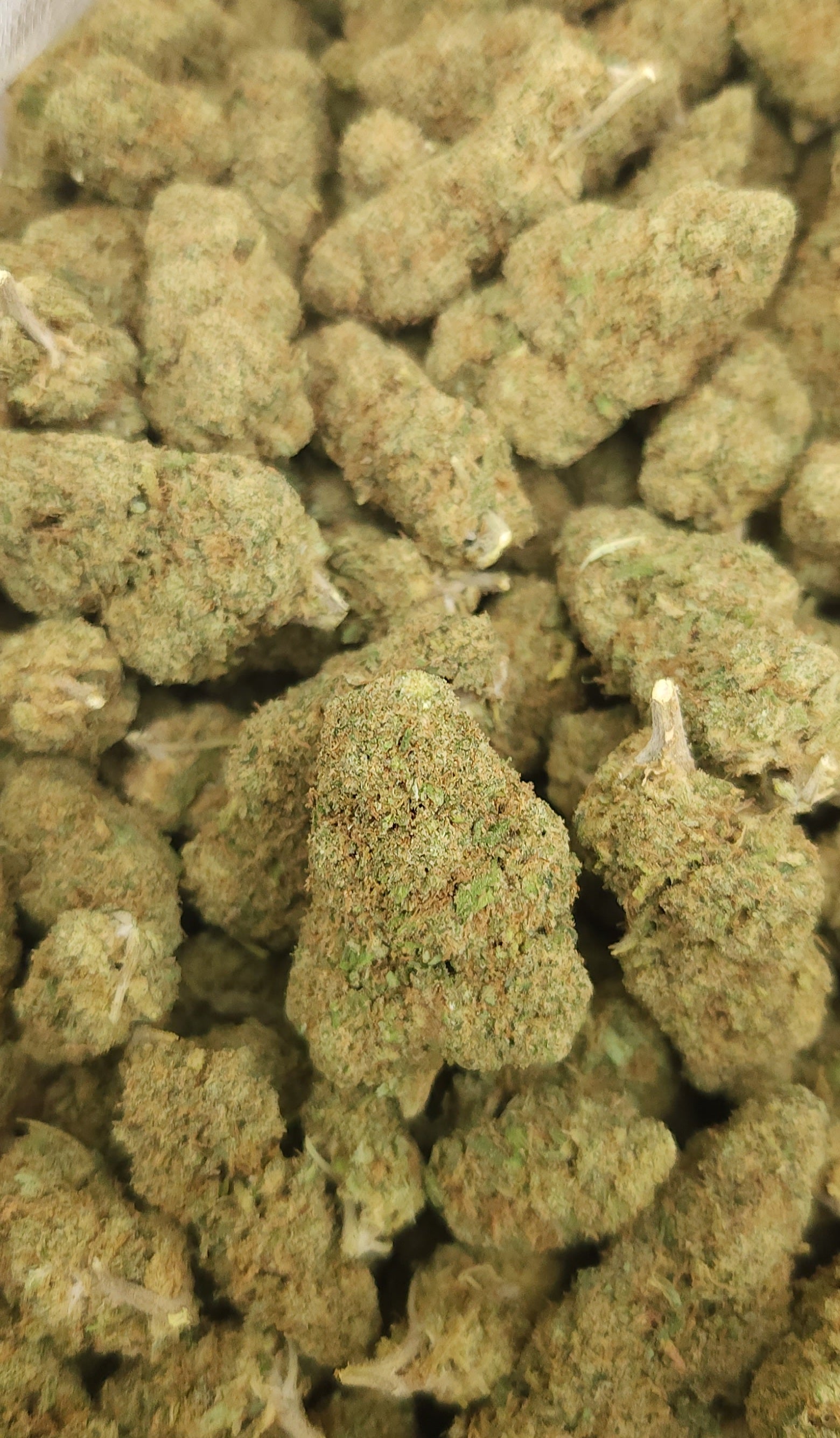 🇪🇺 Mango Haze (18%)