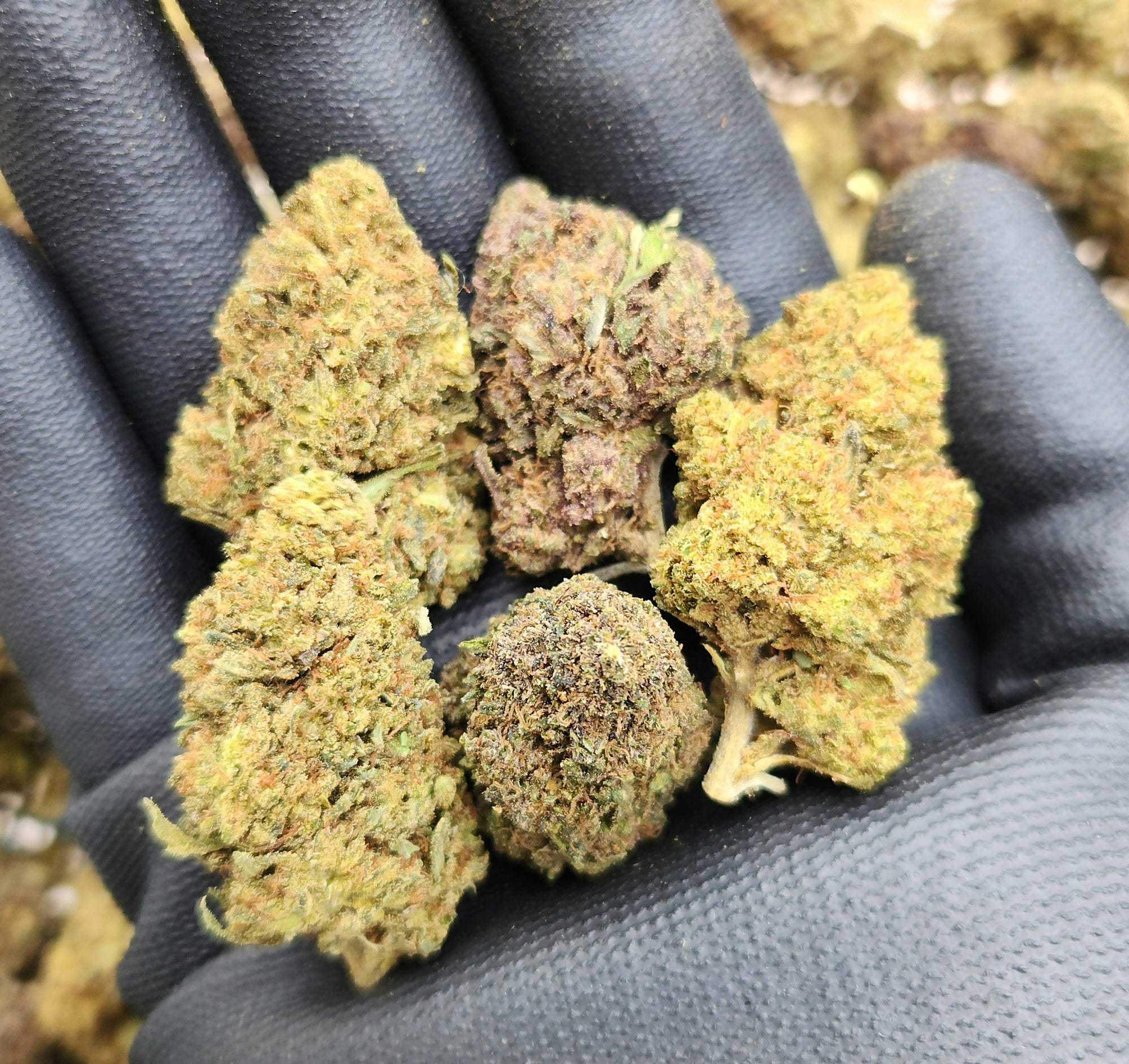 🇺🇸 Pineapple Express (16%)