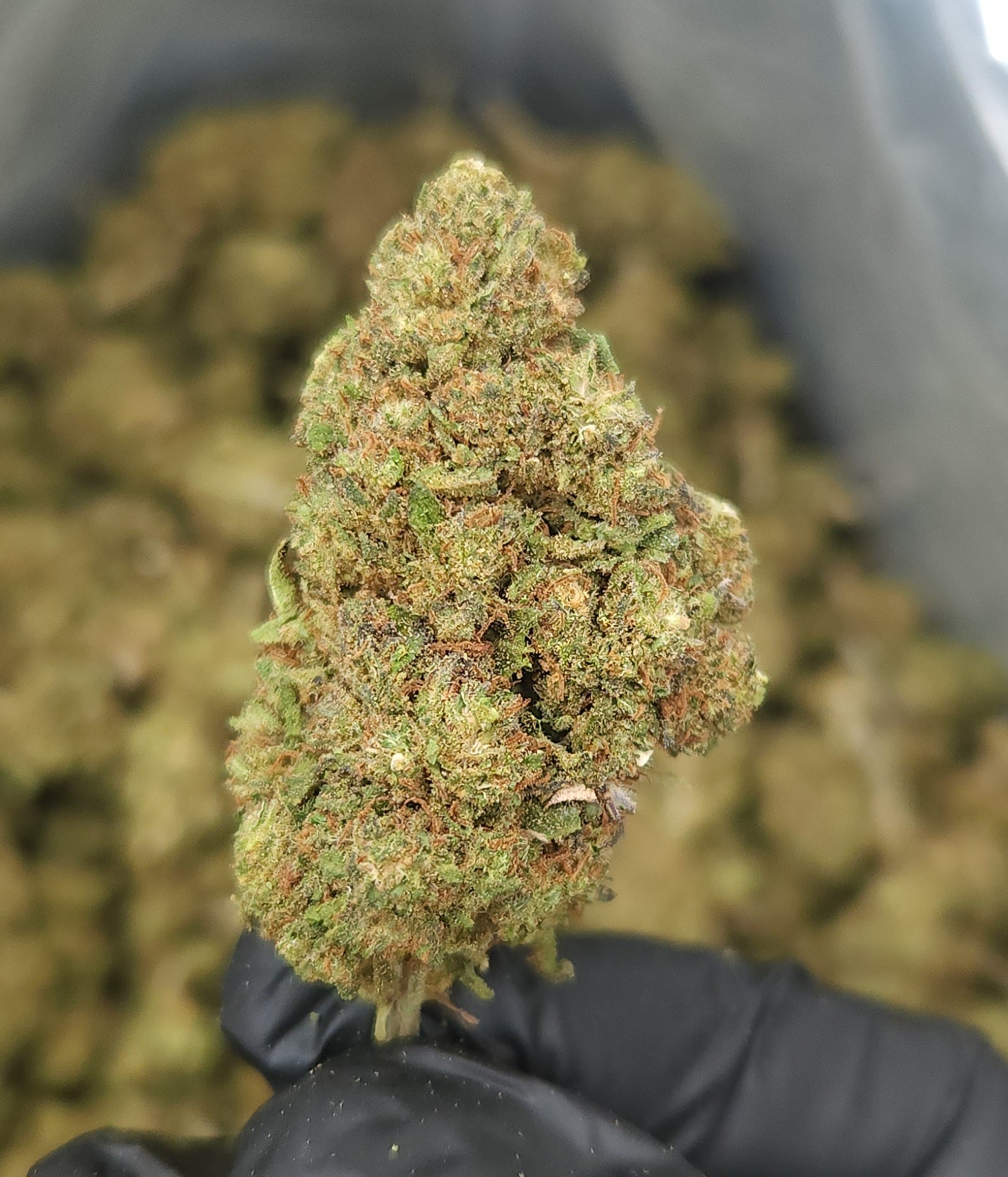 🇪🇺 Strawberry Diesel (15%)