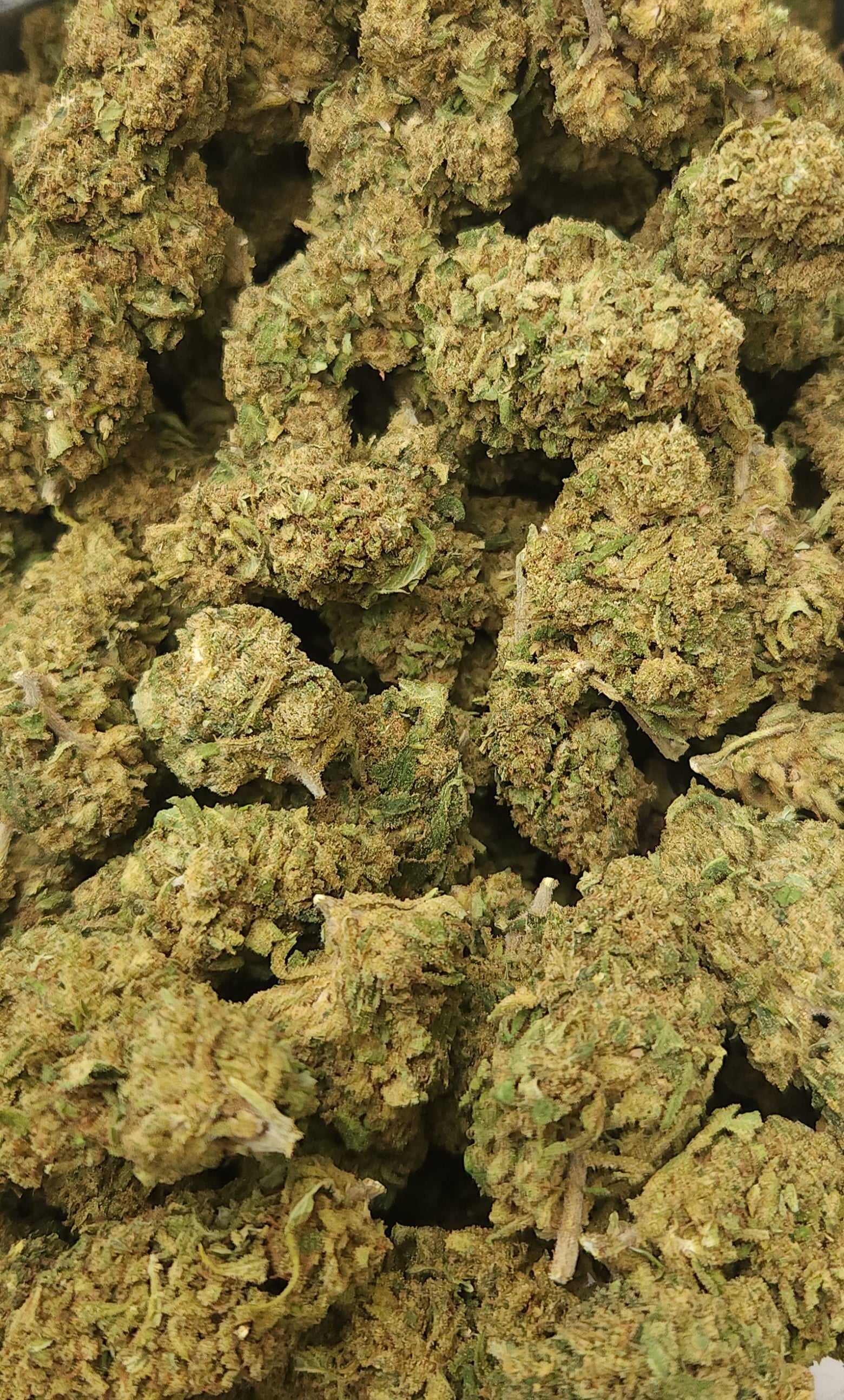 🇪🇺 Blackberry Kush (16%)