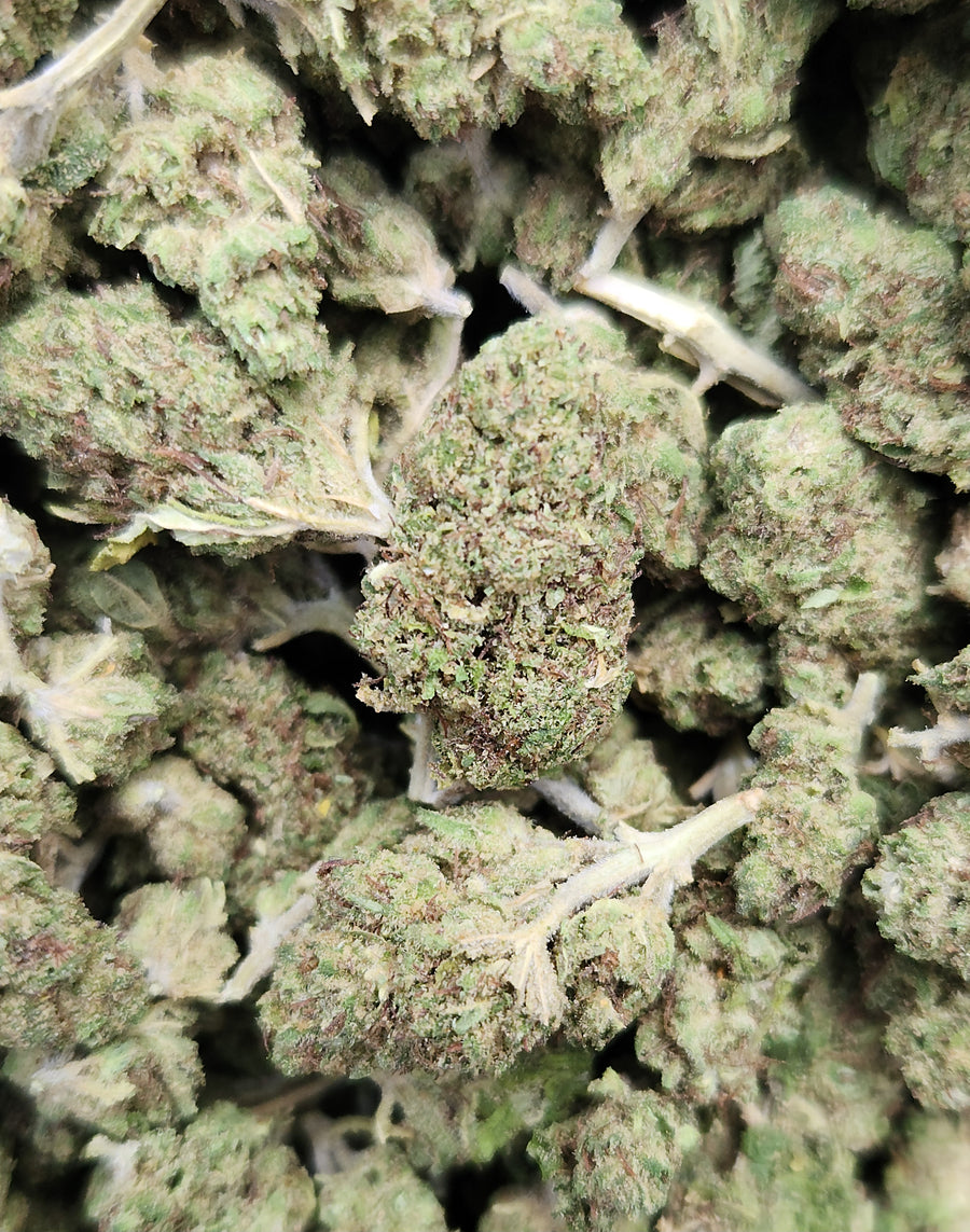 🇨🇴 Mango Cheese Smalls (9%)