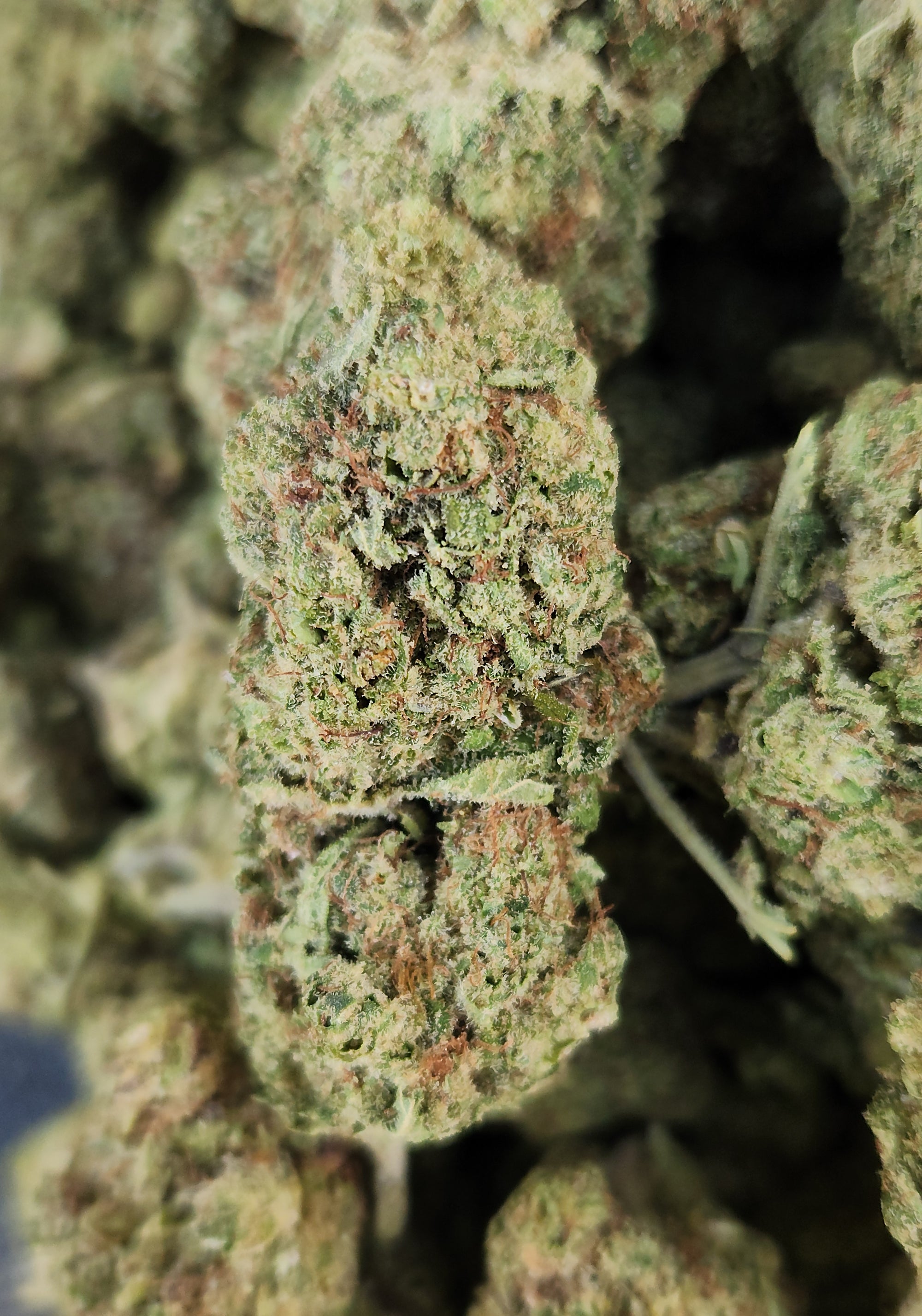 🇪🇺 Key Lime Pie (19%)