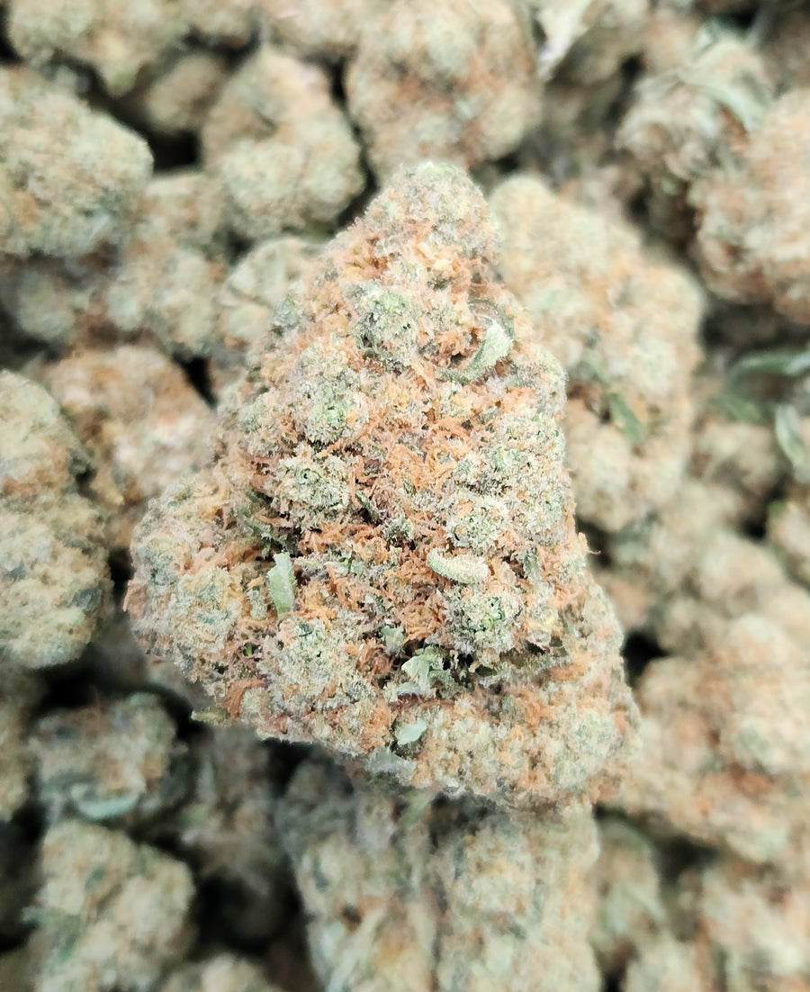 🇨🇭 Zkittlez (16%)