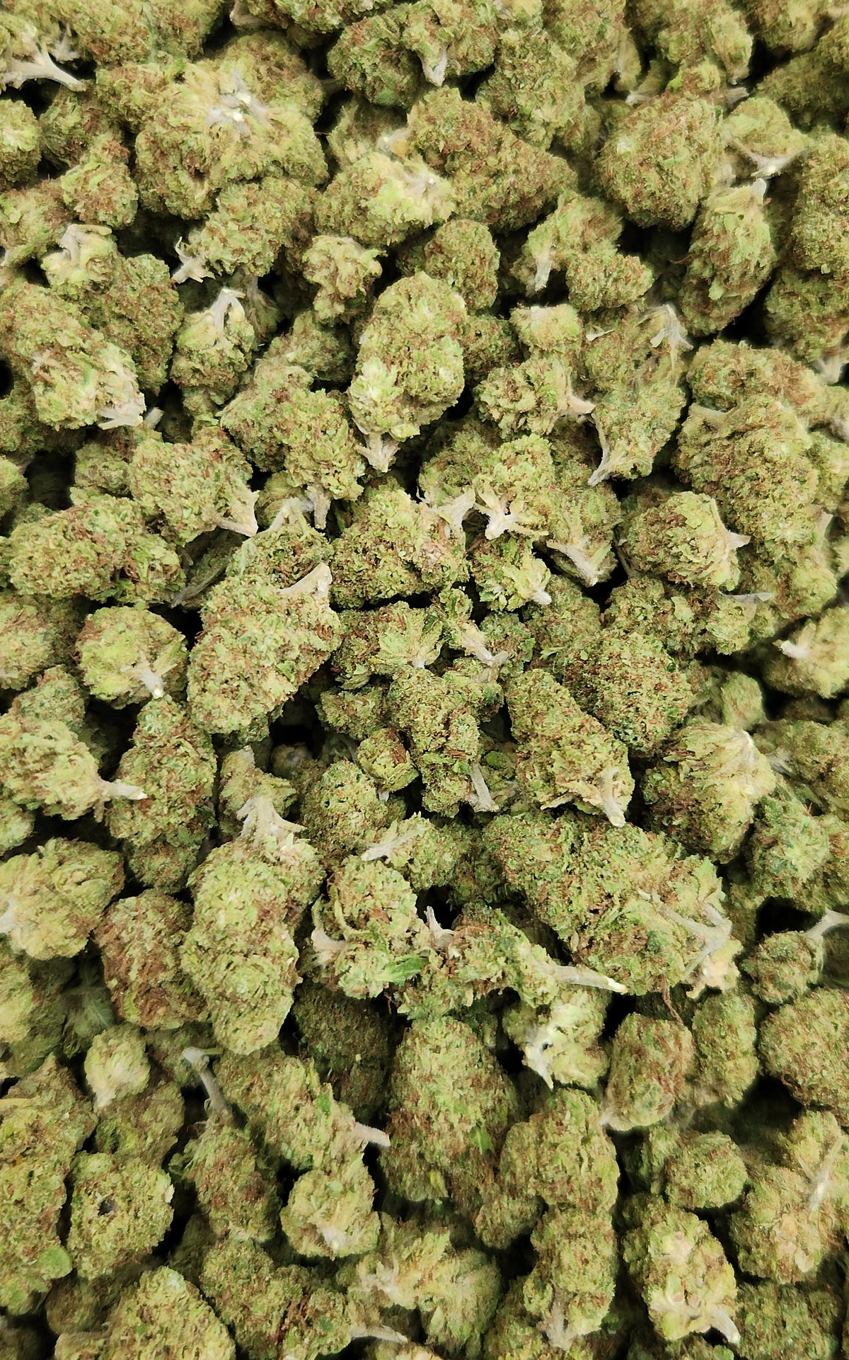 🇨🇴 Strawberry OG Smalls (12%)