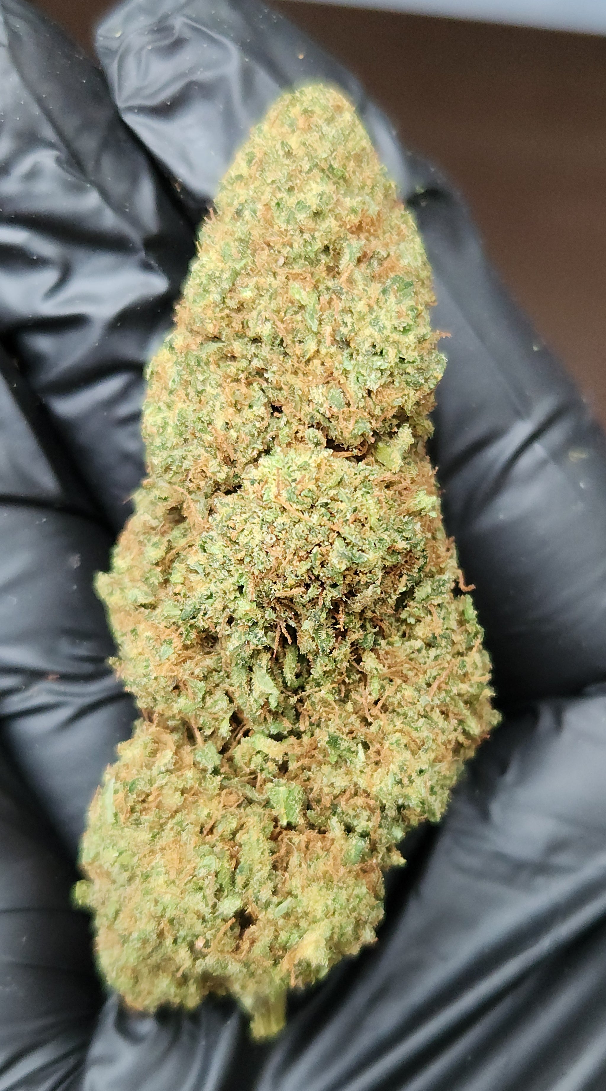 🇺🇸 Sour Tangie (20%)