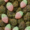 (Vegan) Wild Strawberries | CBD Gummies | 800mg