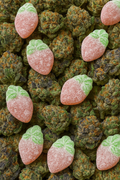 (Vegan) Wild Strawberries | CBD Gummies | 800mg