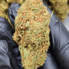🇺🇸 Lemon Chiesel (25%)