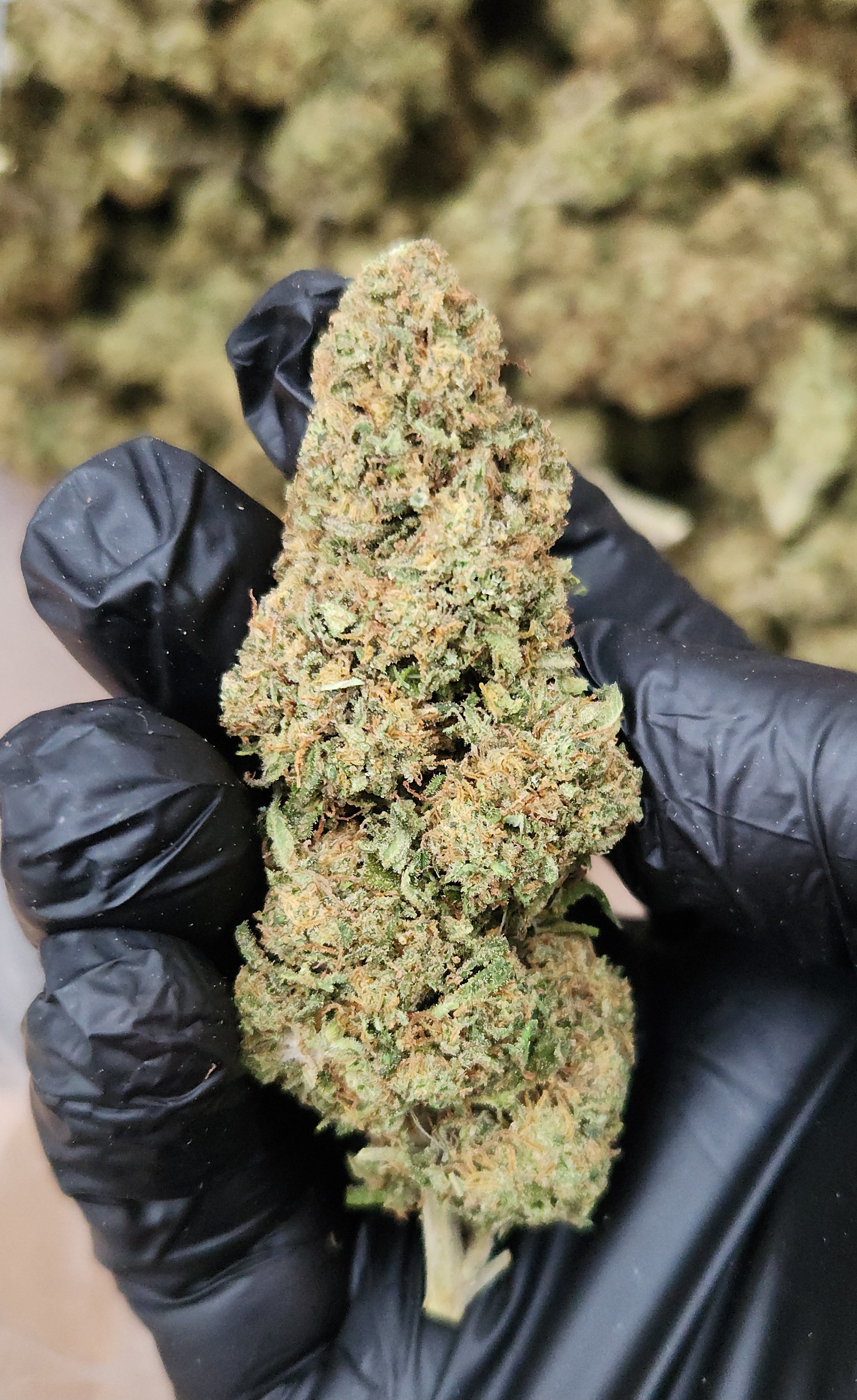 🇪🇺  Bubblegum 47 (18%)